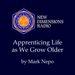 Apprenticing Life as We Grow Older-logo