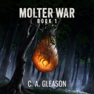 Molter War