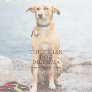 The Urban Dog Dilemma