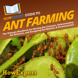 HowExpert Guide to Ant Farming-logo