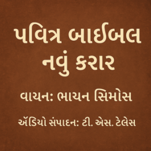 પવિત્ર બાઇબલ – નવું કરાર-logo