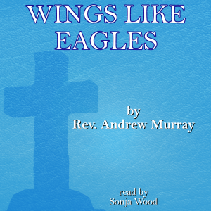 Wings Like Eagles-logo