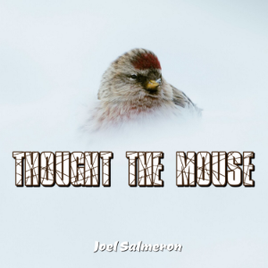 Thought the Mouse