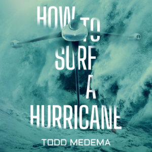 How to Surf a Hurricane-logo