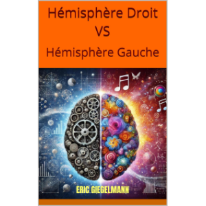 Hémisphère Droit vs Hémisphère Gauche