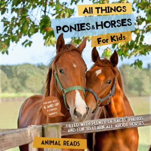 All Things Ponies & Horses For Kids-logo