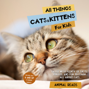 All Things Cats & Kittens For Kids