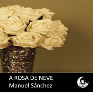 A Rosa de Neve