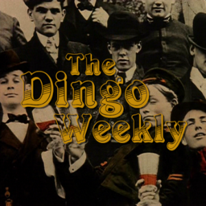 The Dingo Weekly-logo