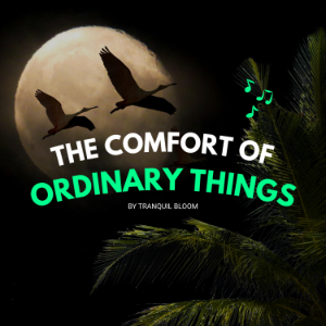 The Comfort of Ordinary Things-logo