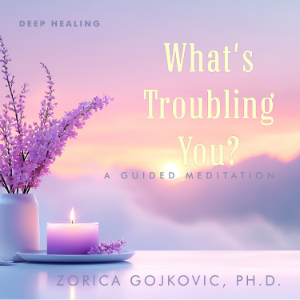 What's Troubling You?-logo