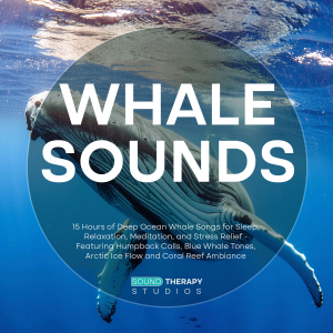 Whale Sounds: 15 Hours of Deep Ocean Whale Songs for Sleep, Relaxation, Meditation, and Stress Relief - Featuring Humpback Calls, Blue Whale Tones, Arctic Ice Flow and Coral Reef Ambiance