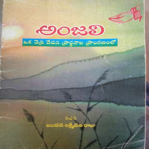 ఆంజలి ఒక చెరి వేదన ప్రాణాల ప్రాంగణంలో