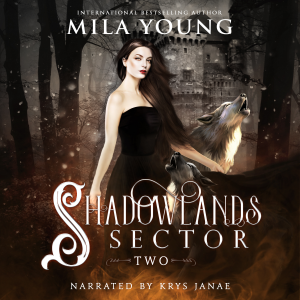 Shadowlands Sector, Two-logo