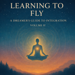 Learning to Fly: A Dreamer’s Guide to Integration (Volume II)