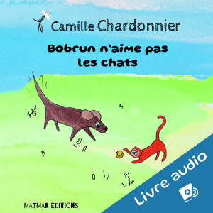Bobrun n'aime pas les chats