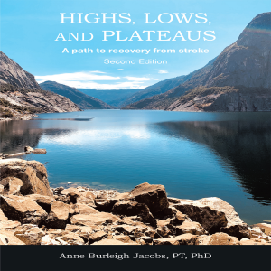 Highs, Lows, and Plateaus: A path to recovery from stroke