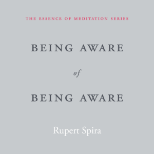 Being Aware of Being Aware
