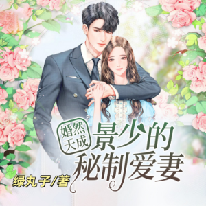 婚然天成：景少的秘制爱妻2