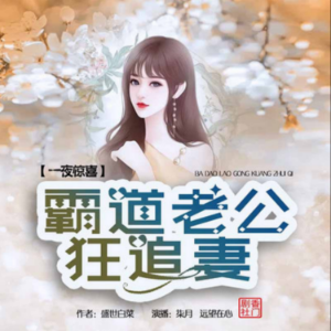 一夜惊喜：霸道老公狂追妻2