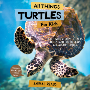 All Things Turtles For Kids
