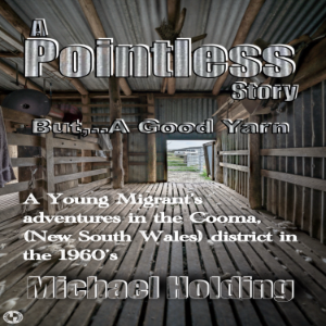 A Pointless Story