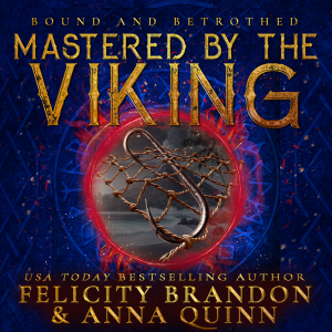 Mastered by the Viking