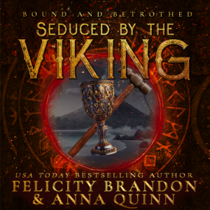 Seduced by the Viking