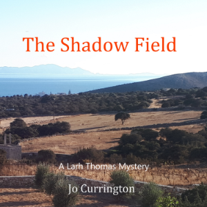 The Shadow Field