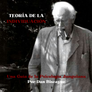 Teoría de la Individuación