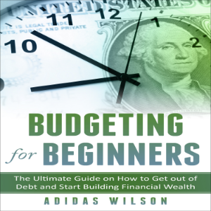 Budgeting For Beginners