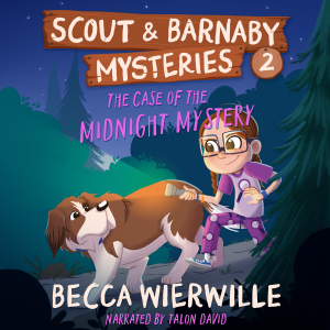 The Case of the Midnight Mystery