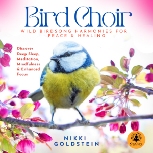 Bird Choir: Wild Birdsong Harmonies for Peace and Healing