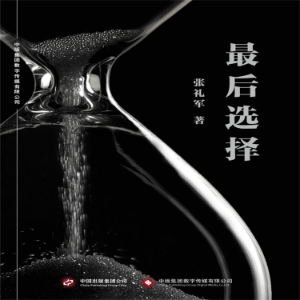 最后选择-logo