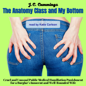 The Anatomy Class and My Bottom: Cruel and Unusual Public Medical Humiliation Punishment for a Burglar’s Innocent and Well-Rounded Wife