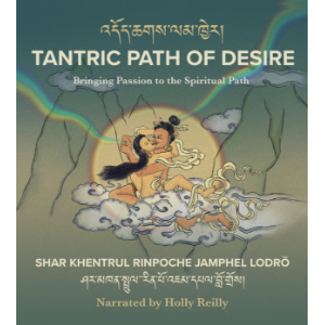 Tantric Path of Desire