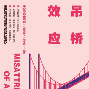 吊桥效应-logo