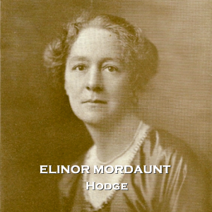 Hodge