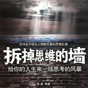 拆掉思维的墙：给你的人生来一场思考的风暴