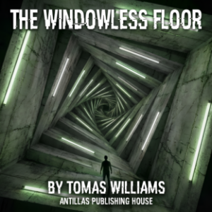 The Windowless Floor