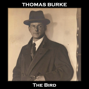 The Bird