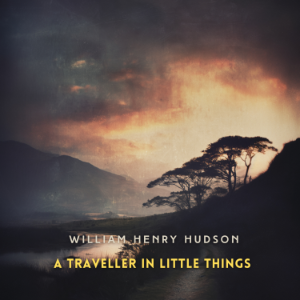 A Traveller in Little Things