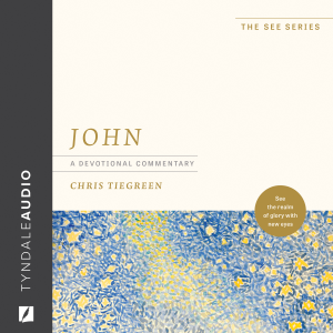 John: A Devotional Commentary