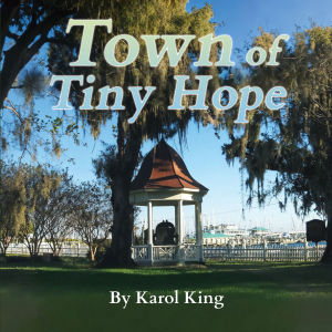 Town of Tiny Hope