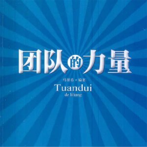 团队的力量-logo