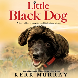 Little Black Dog