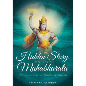 The Hidden Story of the Mahabharata