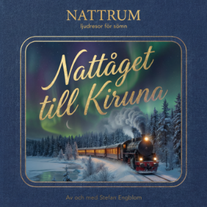 Nattåget till Kiruna
