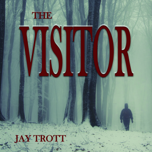 The Visitor