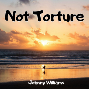 Not Torture